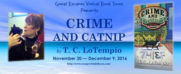 Crime and Catnip - banner