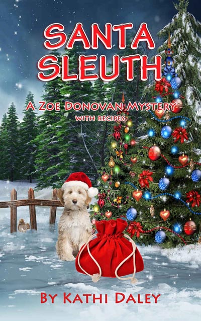 Santa Sleuth