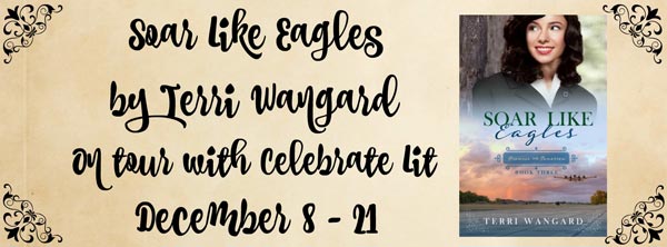 Soar like eagles by Terri Wangard