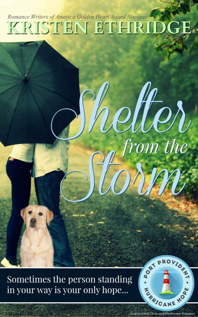 Shelter from the Storm (Port Provident: Hurricane Hope Book 1)