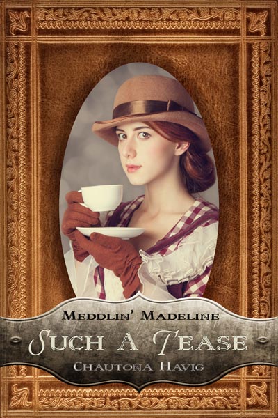 Such a Tease (Meddlin' Madeline Book 2)
