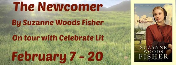 The Newcomer by Suzanne Woods Fisher - banner