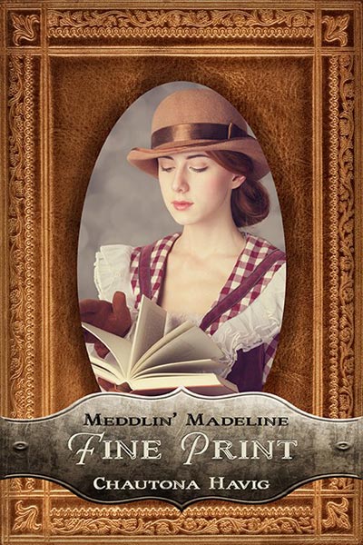 Fine Print (Meddlin' Madeline Book 3)